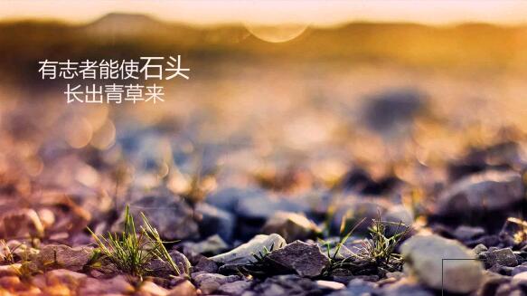 程序員別讓你的偏執(zhí)毀了你