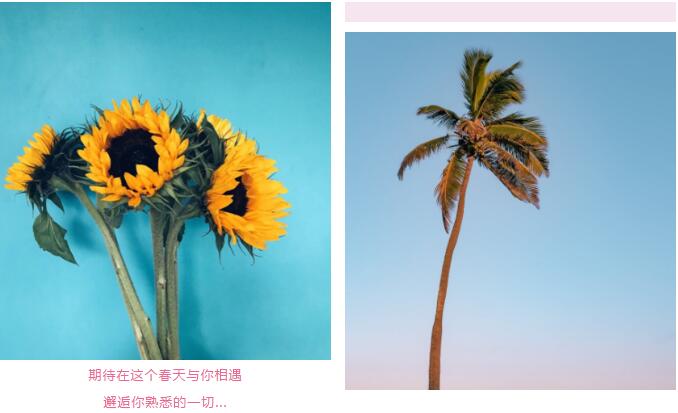 鄭州北大青鳥翔天信鴿線上“運(yùn)動會”開啟