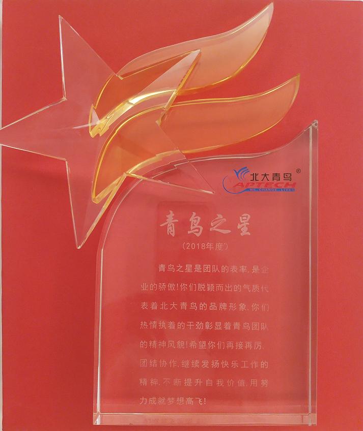 中心楊陽老師獲得全國青鳥之星大獎(jiǎng)
