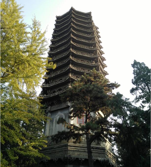鄭州北大青鳥(niǎo)翔天信鴿校區(qū)“校園文化行活動(dòng)”