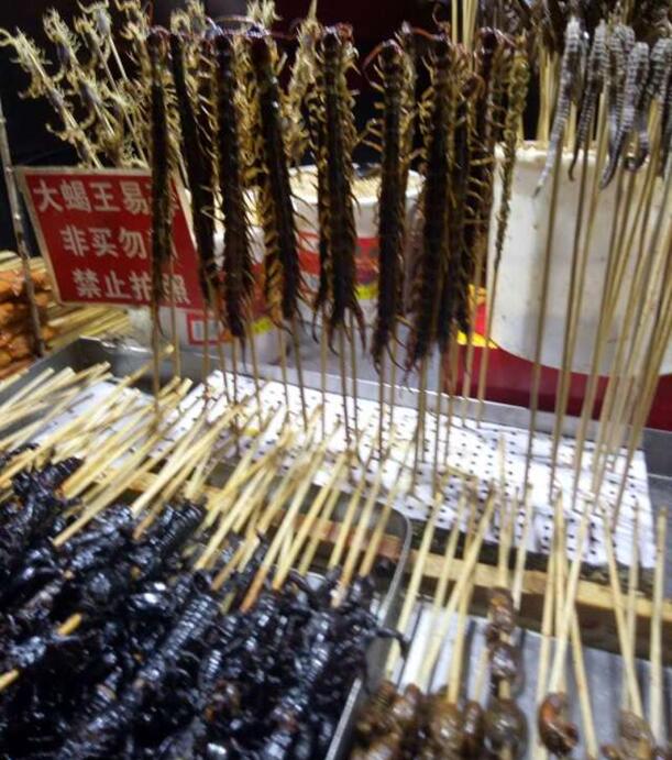 鄭州北大青鳥(niǎo)翔天信鴿校區(qū)2016年“校園文化行活動(dòng)”